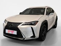Usado Lexus UX 199 CV (146 kW) 2024 Blanco SUV