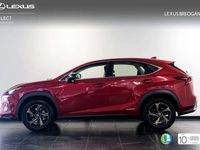 usado Lexus NX300h SPORT EDITION