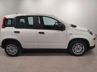 Usado Fiat Panda 69 CV (50 kW) 2024 Utilitario
