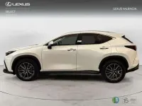 Usado Lexus NX450h+ Executive Line 306 CV (225 kW) 2023 Blanco SUV