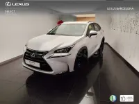 Usado Lexus NX300h Business Edition 197 CV (144 kW) 2017 Blanco SUV