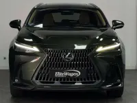 Usado Lexus NX450h+ Luxury Line 306 CV (225 kW) 2022 Verde SUV
