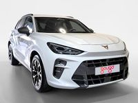 Usado Cupra Terramar 204 CV (150 kW) 2025 Blanco SUV