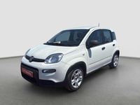 Usado Fiat Panda 71 CV (52 kW) 2023 Blanco Utilitario