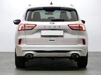 Usado Ford Kuga ST-Line 121 CV (88 kW) 2022 Blanco SUV