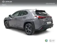 Usado Lexus UX Business Edition 184 CV (135 kW) 2022 Gris / plata SUV