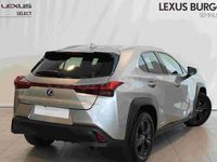 Usado Lexus UX Business Edition 184 CV (135 kW) 2022 Gris / plata SUV