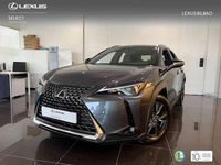Usado Lexus UX 300h 199 CV (146 kW) 2025 Gris SUV