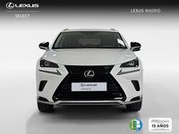 Usado Lexus NX300h 197 CV (144 kW) 2021 Blanco SUV