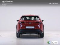 usado Lexus UX 250h BUSINESS AUTO 2.0 184 5P