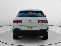 Usado Citroën C4 Cactus Feel 110 CV (80 kW) 2020 Blanco Utilitario