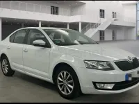 Usado Skoda Octavia GreenLine 110 CV (80 kW) 2016 Blanco Familiar