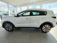 Usado Kia Sportage Plus 115 CV (84 kW) 2018 Blanco SUV