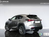 usado Lexus NX300h Executive Navigation 4wd