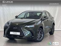 Usado Lexus NX350h 243 CV (178 kW) 2025 Verde SUV