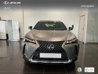 Usado Lexus UX 199 CV (146 kW) 2026 Gris / plata SUV
