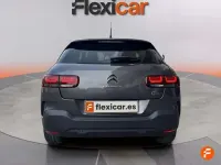 Usado Citroën C4 Cactus Feel 110 CV (80 kW) 2018 Gris Utilitario
