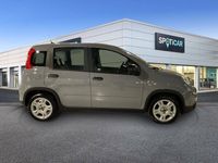 Usado Fiat Panda Comfort 70 CV (51 kW) 2023 Gris Utilitario