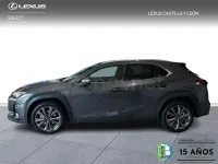 Usado Lexus UX Sport Line 199 CV (146 kW) 2025 Gris / plata SUV