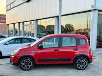 Używany Fiat Panda 69 KM (50 kW) 2021 Czerwony Hatchback