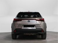 Usado Lexus UX Business Edition 184 CV (135 kW) 2021 Titanium SUV