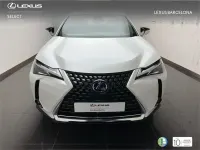 Usado Lexus UX 250h 184 CV (135 kW) 2022 Blanco SUV