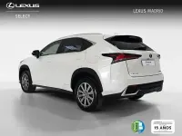 Usado Lexus NX300h Business Edition 197 CV (144 kW) 2018 Blanco SUV