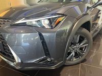 Usado Lexus UX 199 CV (146 kW) 2025 Gris / plata SUV