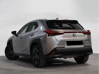 Usado Lexus UX Business Edition 184 CV (135 kW) 2021 Titanium SUV