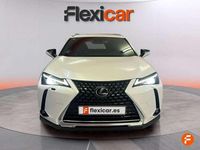 Usado Lexus UX 250h Business Edition 184 CV (135 kW) 2020 Blanco SUV