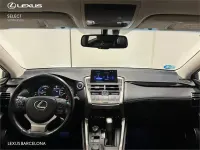 Usado Lexus NX300h Business Edition 197 CV (144 kW) 2017 Otro SUV