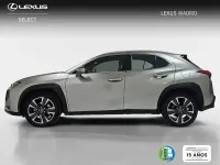 Usado Lexus UX 183 CV (134 kW) 2021 Plateado SUV
