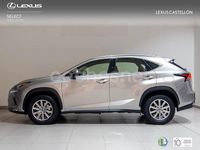 Usado Lexus NX300h Business Edition 197 CV (144 kW) 2019 Gris / plata SUV