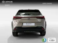 Usado Lexus UX 184 CV (135 kW) 2021 Plateado SUV