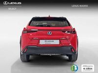 Usado Lexus UX 250h Business Edition 184 CV (135 kW) 2022 Rojo SUV