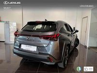 Usado Lexus UX 300h 199 CV (146 kW) 2025 Gris SUV