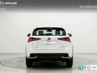 usado Lexus NX300 300h Business Navigation 2WD