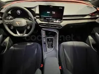 Usado Cupra Terramar 204 CV (150 kW) 2025 Azul SUV