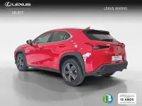 Usado Lexus UX Business Edition 184 CV (135 kW) 2022 Rojo SUV