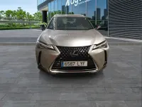 Usado Lexus UX 250h Business Edition 184 CV (135 kW) 2022 Gris SUV