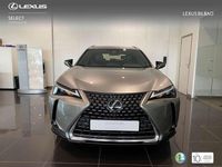 Usado Lexus UX 300h 199 CV (146 kW) 2025 Plateado SUV
