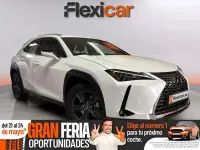 Usado Lexus UX 300h 199 CV (146 kW) 2024 Blanco SUV