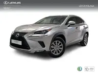 Usado Lexus NX300h Business Edition 197 CV (144 kW) 2018 Gris SUV