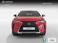 Usado Lexus UX Business Edition 183 CV (134 kW) 2022 Rojo SUV