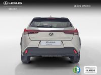 Usado Lexus UX 199 CV (146 kW) 2025 Gris SUV