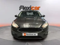 Usado Ford Focus ST-Line 125 CV (91 kW) 2017 Gris Berlina