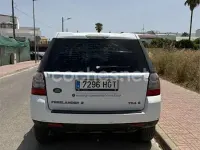 Usado Land Rover Freelander 2 150 CV (110 kW) 2011 Blanco SUV