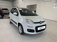 usado Fiat Panda 1 2 51kw 69cv Eu6 Lounge Blanco