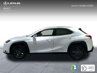 usado Lexus UX 250h Business 2WD