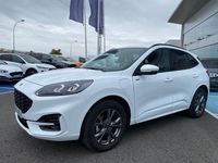 Usado Ford Kuga ST-Line 226 CV (166 kW) 2023 Gris SUV